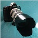 Canon Eos 1D Mk2n