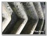 Power drive gear